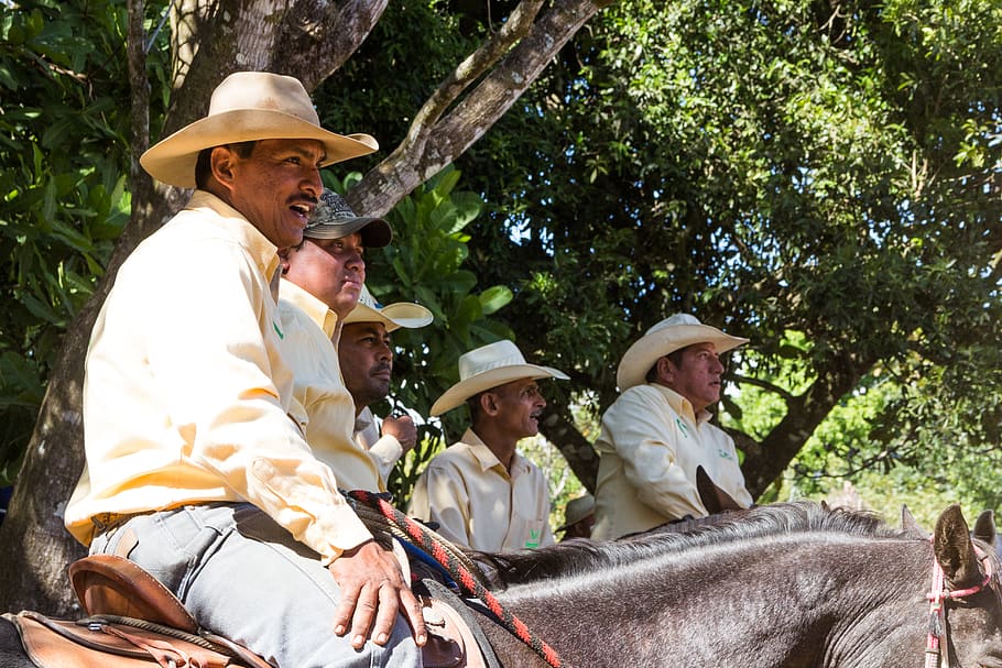 men riding horses, hat, tree, clothing, group of people, adult HD wallpaper