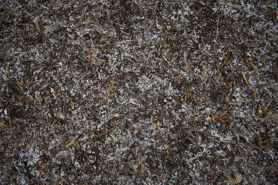 forest, wood chips, snow, texture, nature, full frame, backgrounds HD wallpaper