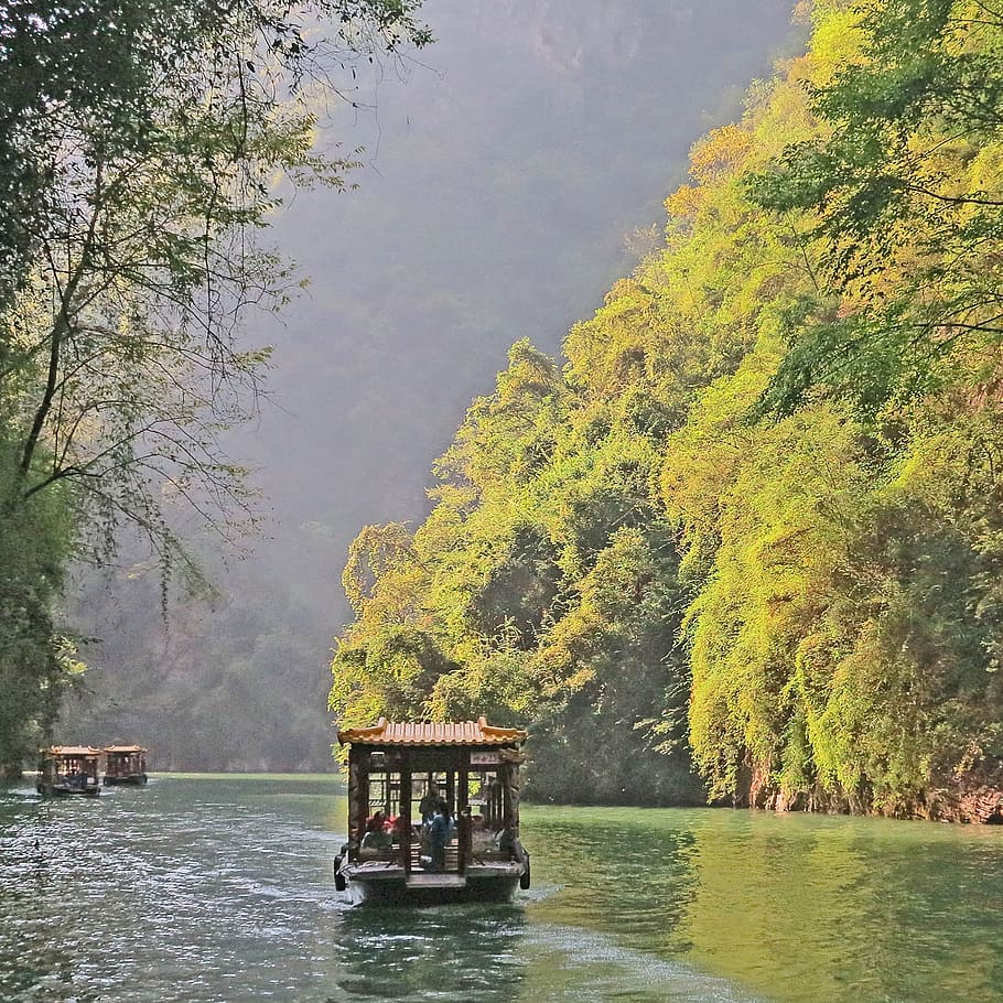 china, tree, water, waterfront, mode of transportation, plant HD wallpaper