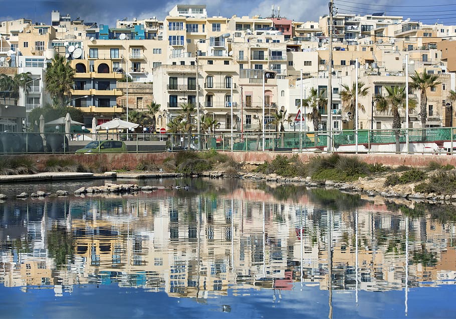 palm sunday, malta, nice, reflection, summer, water, nature, HD wallpaper