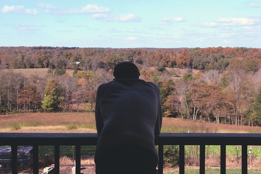 united states, clarksville, trees, leaves, person, thinking