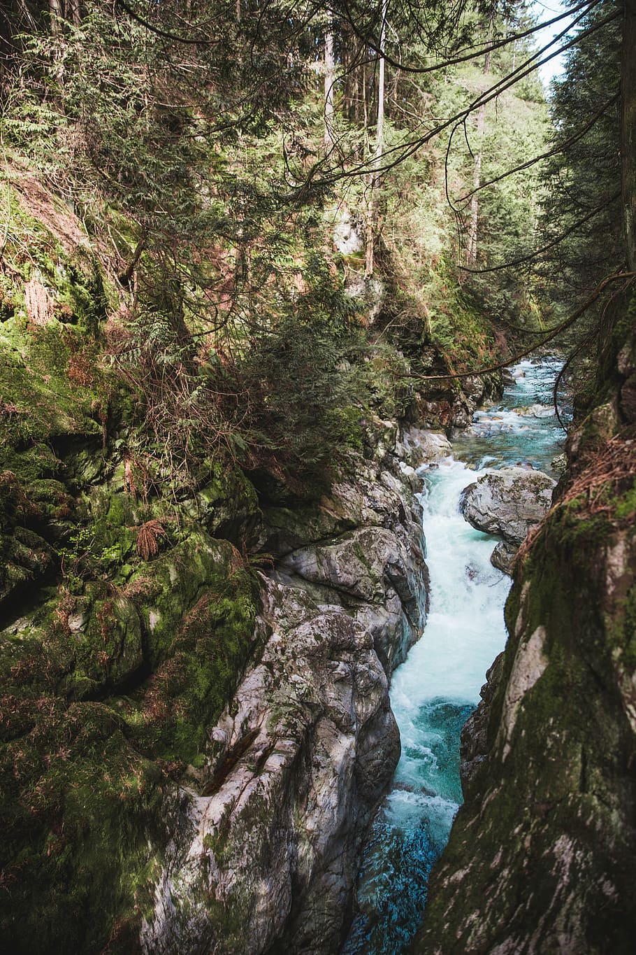 A rushing stream in the mountains surrounded by rocks and trees HD wallpaper