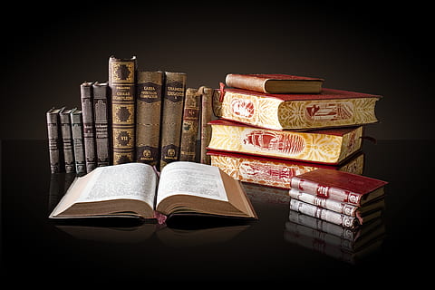 Labeled Book Lot, bookcase, books, collection, cover, culture HD wallpaper