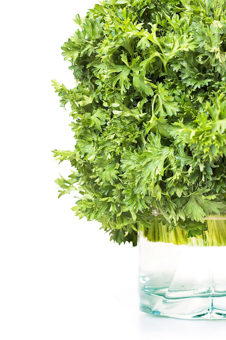 bunch, close, closeup, color, cook, cooking, detail, diet, eat HD wallpaper