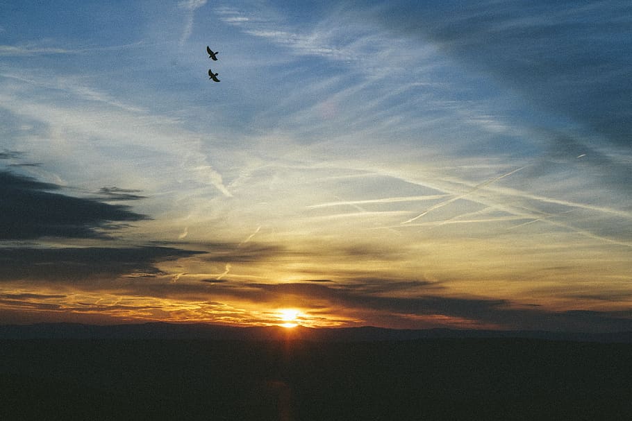 sky, cloud - sky, flying, beauty in nature, sunset, bird, animal themes HD wallpaper