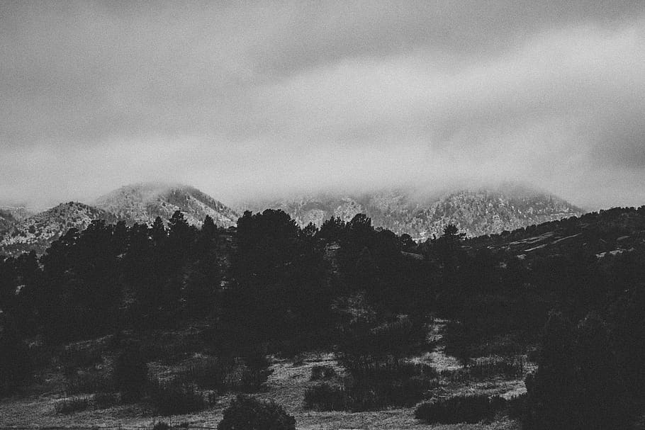 mountains, trees, snow, beauty in nature, sky, scenics - nature HD wallpaper