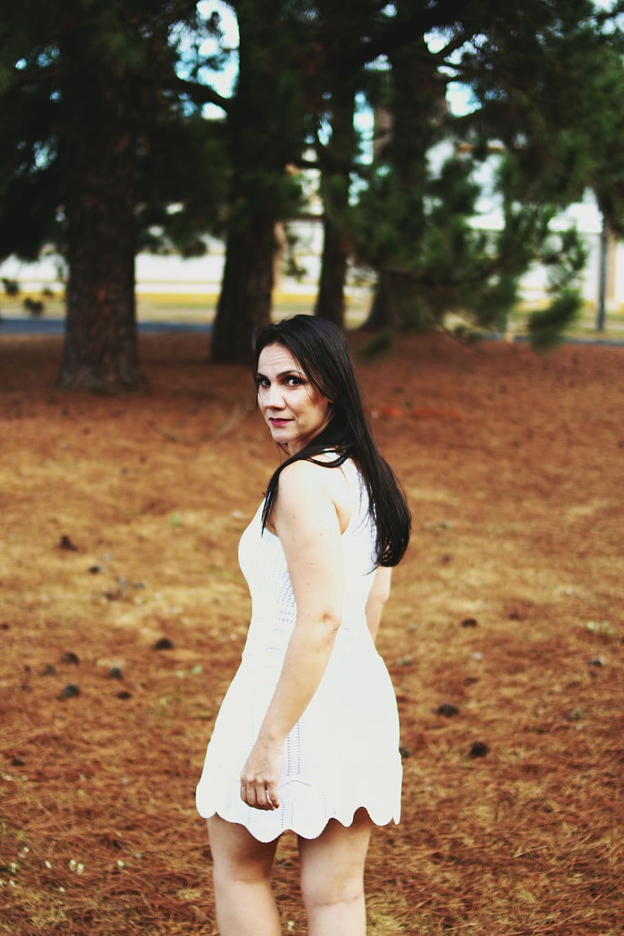 brazil, bauru, one person, young adult, young women, tree, beautiful woman HD wallpaper