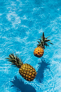 pineapple  Summer wallpaper Tumblr wallpaper Wallpaper