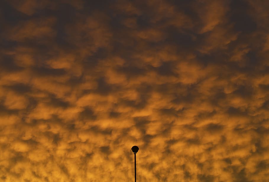 uruguay, montevideo, sky, cloud - sky, sunset, nature, low angle view HD wallpaper