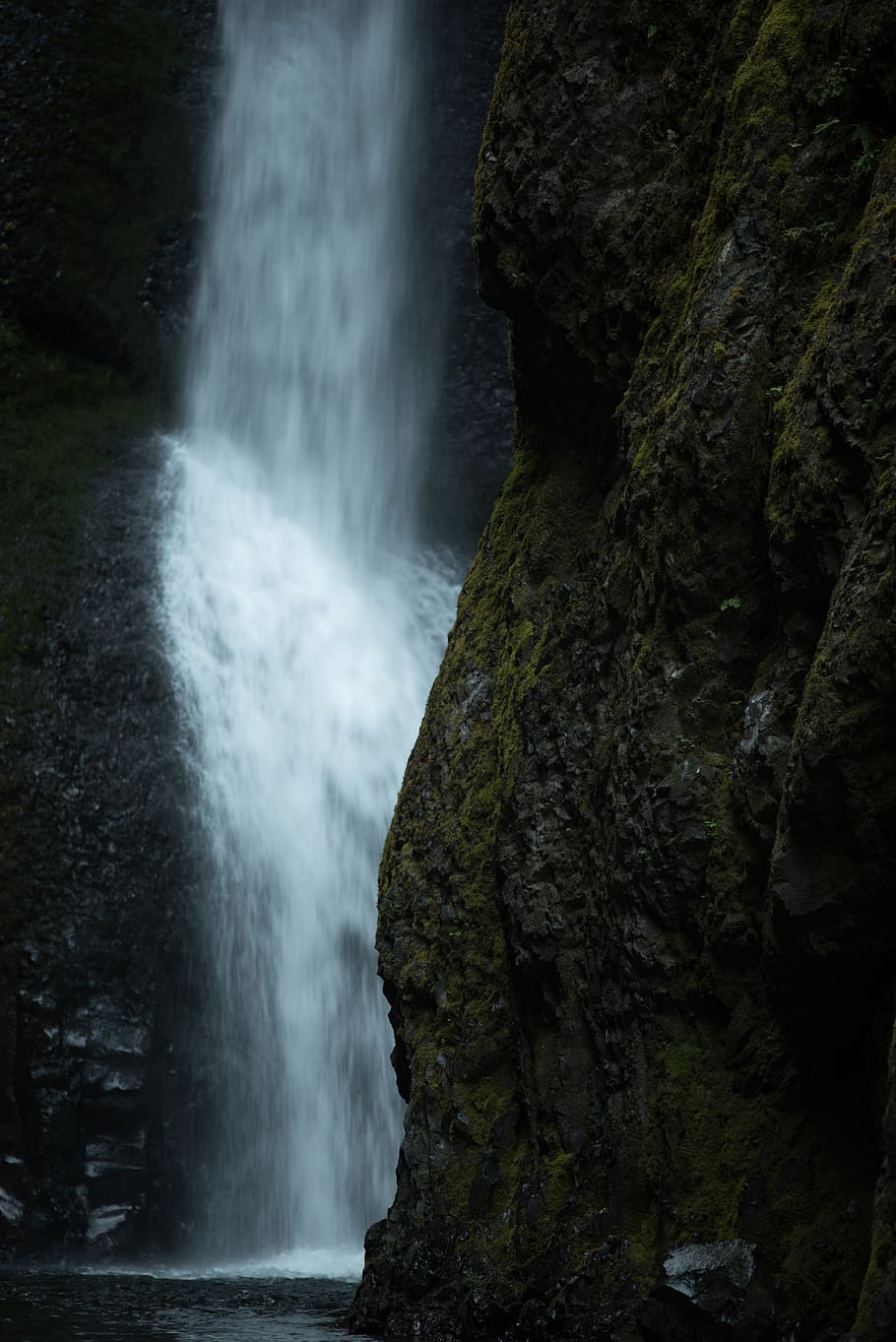 united states, oneonta gorge, nature, landscape, oregon, water, HD wallpaper