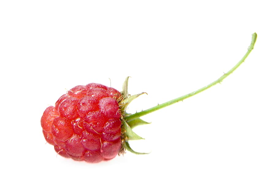 close-up, raspberry, diet, dieting, eating, food, fresh, freshness HD wallpaper