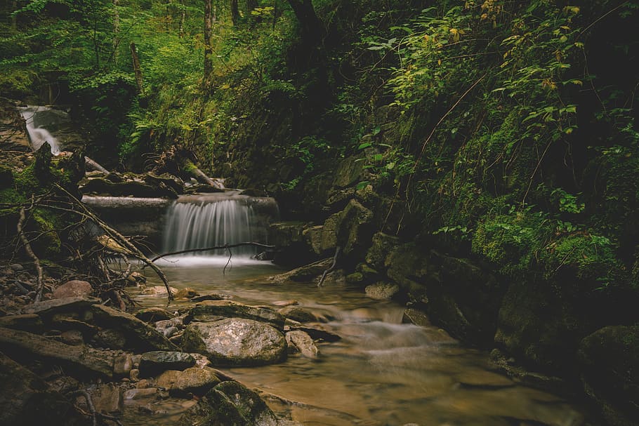Forest and Water Falls Landscape Photo, nature, rocks, stream HD wallpaper
