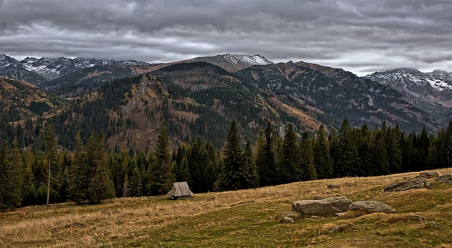mountains, landscape, view, hut, shepherd's hut, polyana, forest HD wallpaper