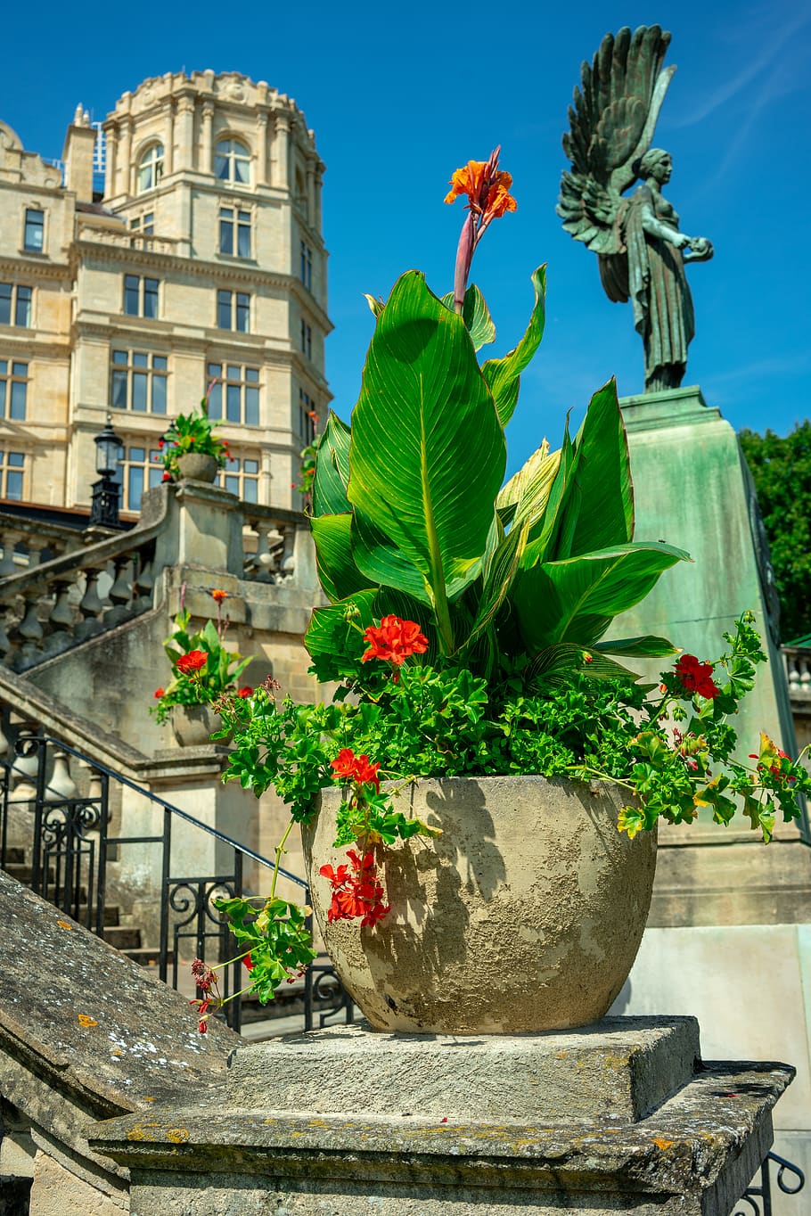 united kingdom, bath, flower, flowering plant, architecture HD wallpaper