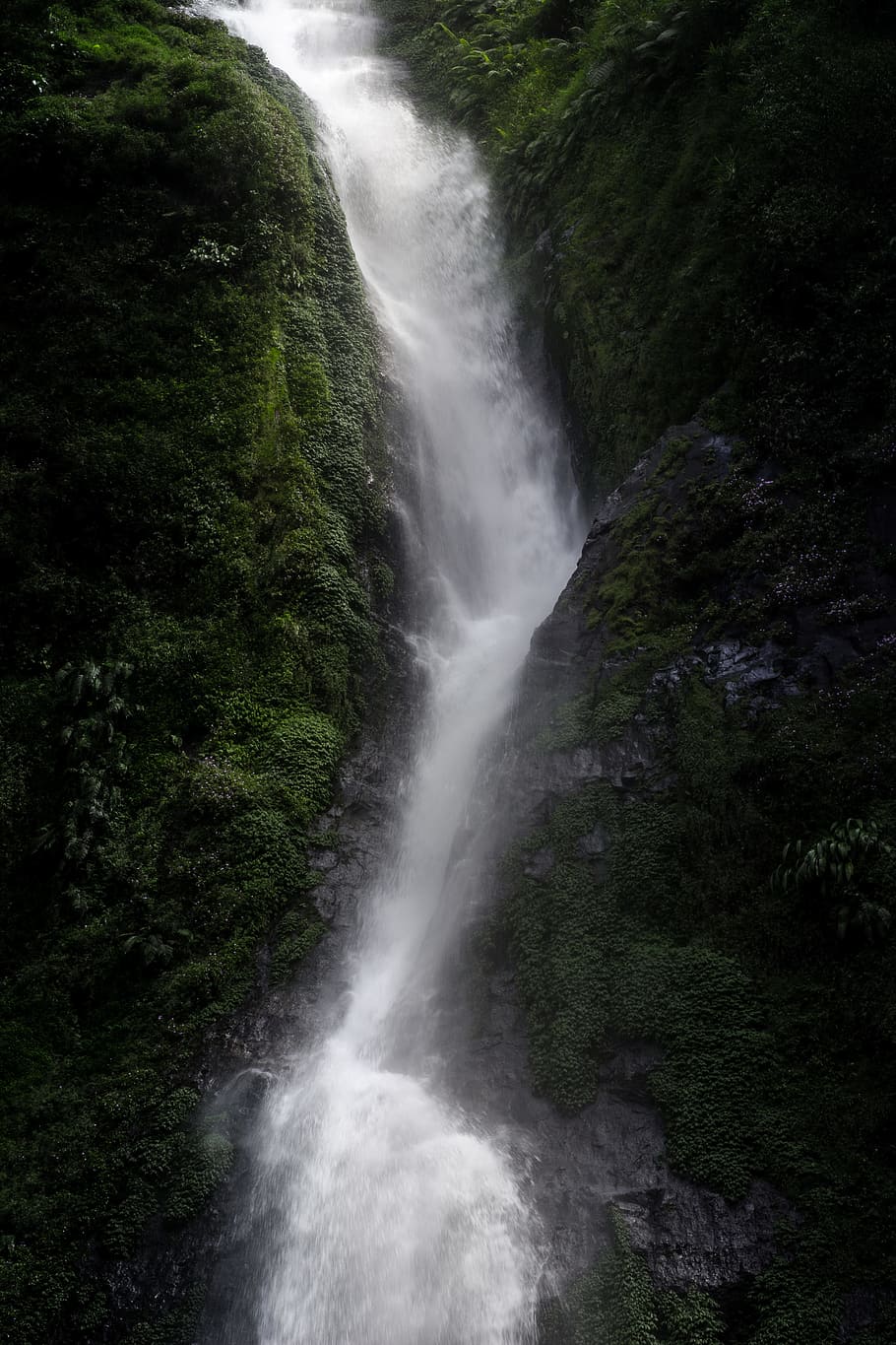 Photography of Waterfall, environment, moss, Mossy rocks, nature HD wallpaper