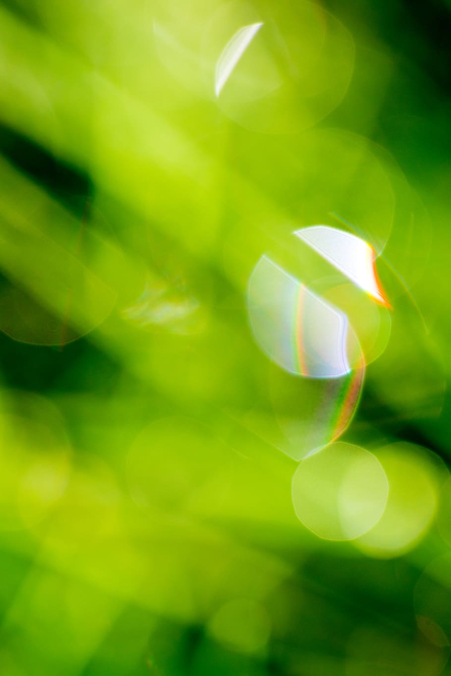 bokeh light wallpaper, beauty in nature, green color, no people HD wallpaper
