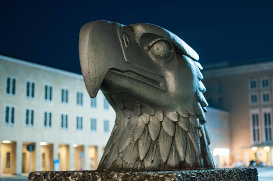 head, eagle, bird, airport, tempelhof flughafen, night, windows HD wallpaper