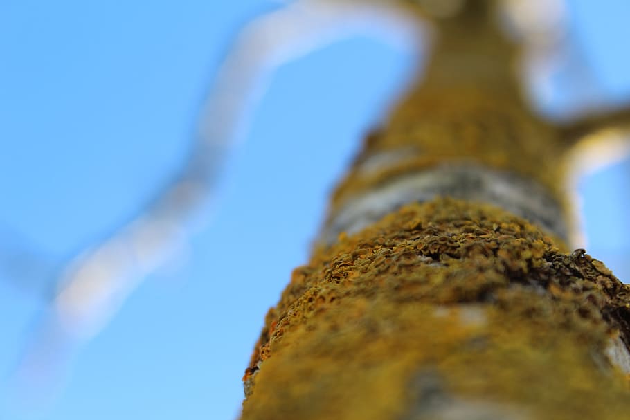 material, background, mâche, outside, nature, yellow, blue HD wallpaper