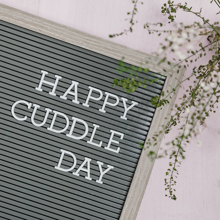 happy cuddle day text, plant, symbol, logo, trademark, blossom HD wallpaper