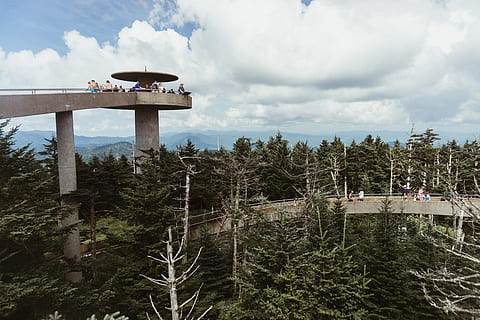people standing on tower over looking trees under cloudy sky HD wallpaper