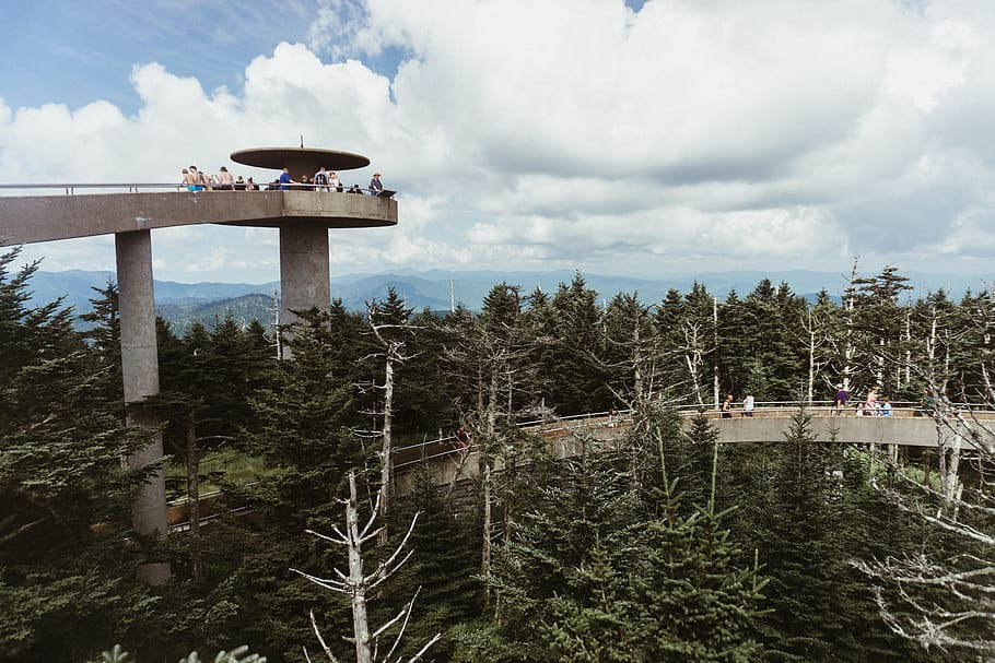 people standing on tower over looking trees under cloudy sky HD wallpaper
