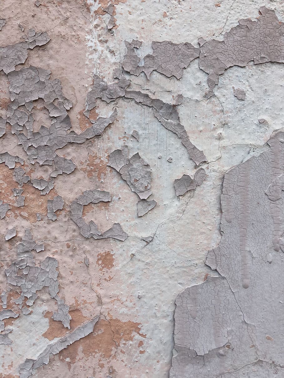 texture, wall, surface, cement, concrete, rough, public domain images HD wallpaper