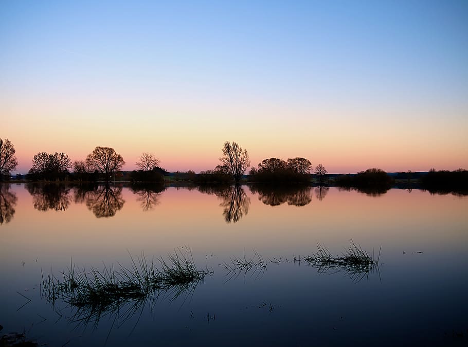 Panoramic Photography of Trees Under Clear Bluy Sky Durign Daytime HD wallpaper