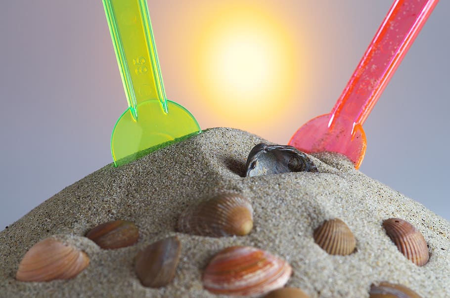sand, shell, spoon, sunshine, studio shot, indoors, close-up HD wallpaper