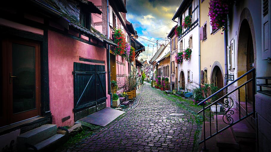 colmar, village, french, france, color, rose, street, house, HD wallpaper