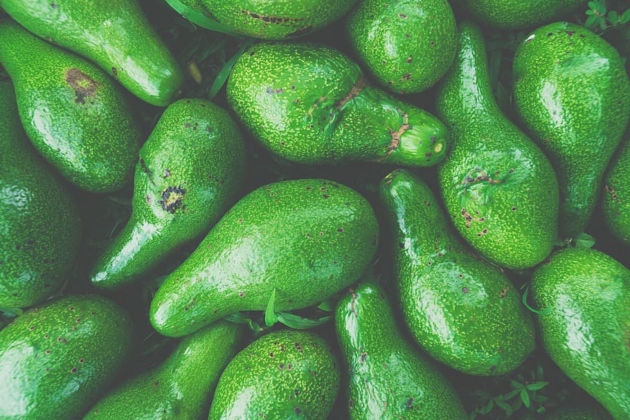 green avocado fruit lot, full frame, green color, backgrounds HD wallpaper