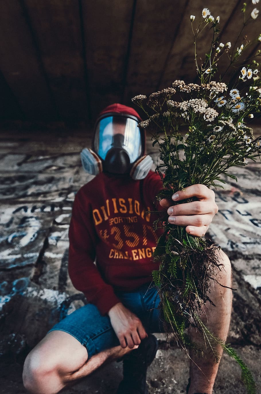 man holding white flowers, street, mask, creative, male, masked HD wallpaper