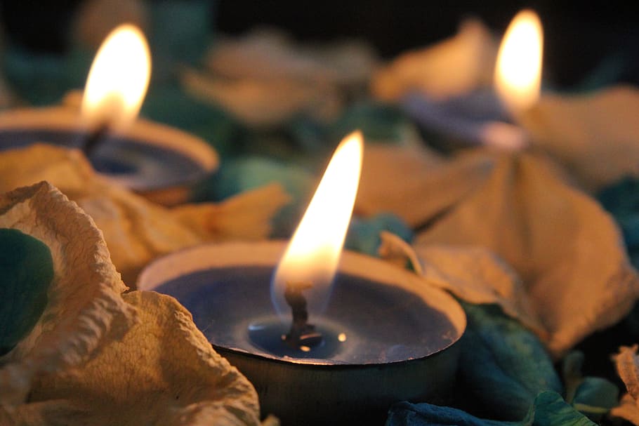 Lighted Candles, burning, candlelight, flame, macro, wick, fire HD wallpaper