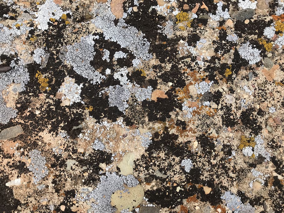 brown gray black abstract painting, rock, rug, rust, texture, HD wallpaper