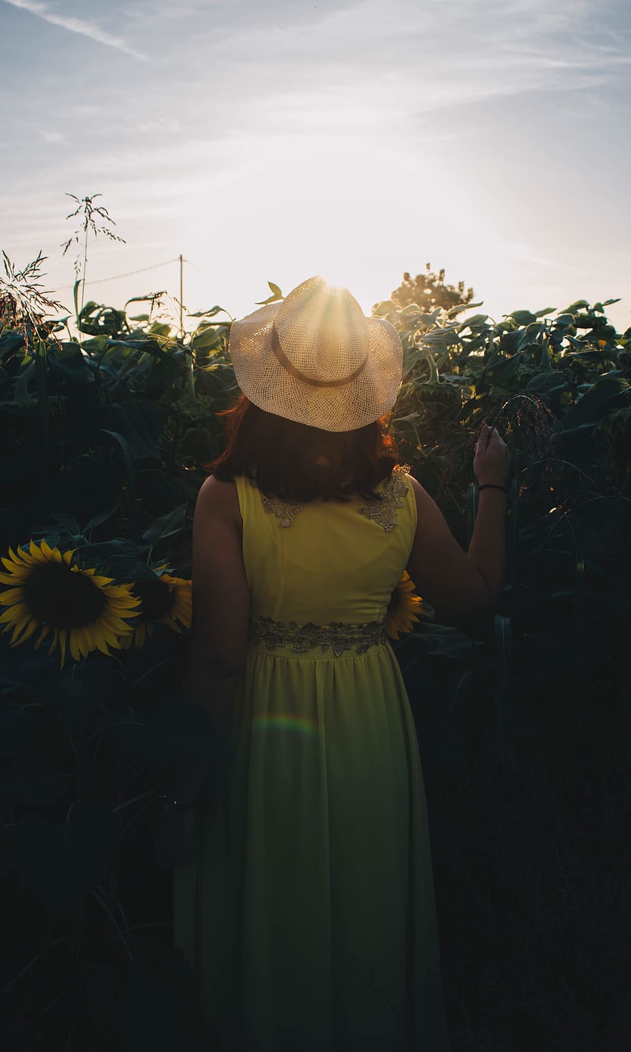 spain, lleida, rear view, plant, hat, real people, sky, women HD wallpaper