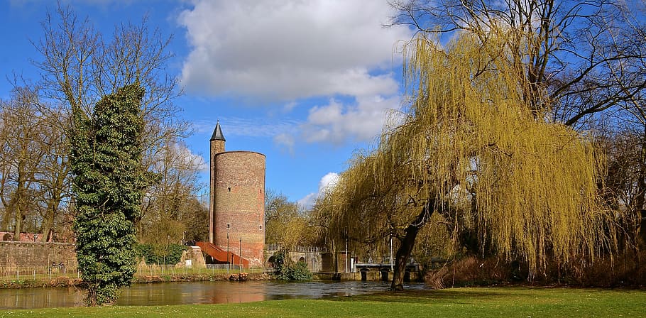 tower, park, history, sights, tree, architecture, plant, built structure HD wallpaper