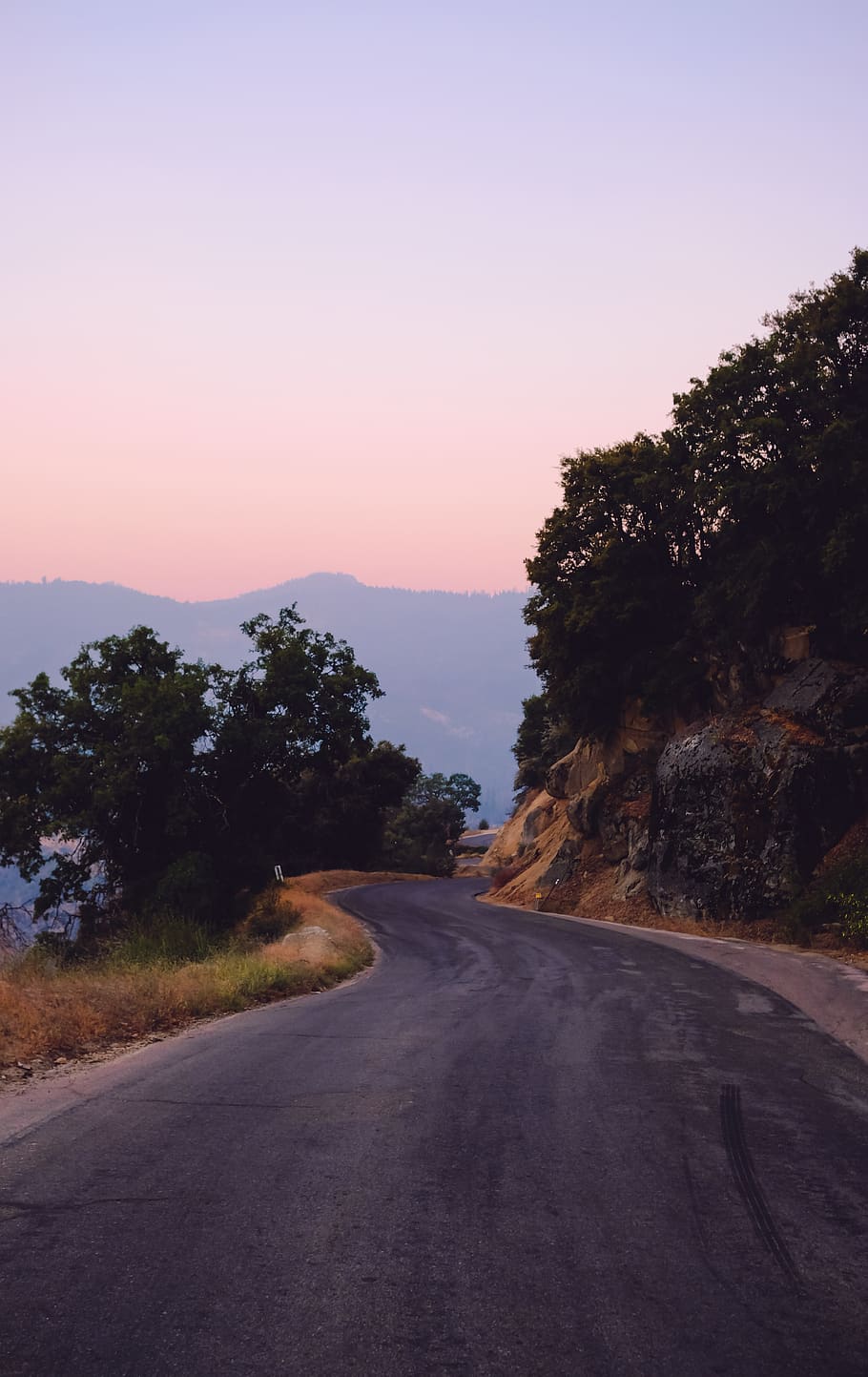 green leafed trees during daytime, road, sky, direction, plant HD wallpaper