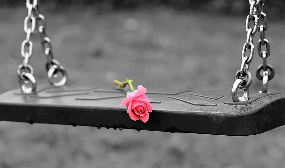 pink rose on empty swing, stop children suicide, empty playground