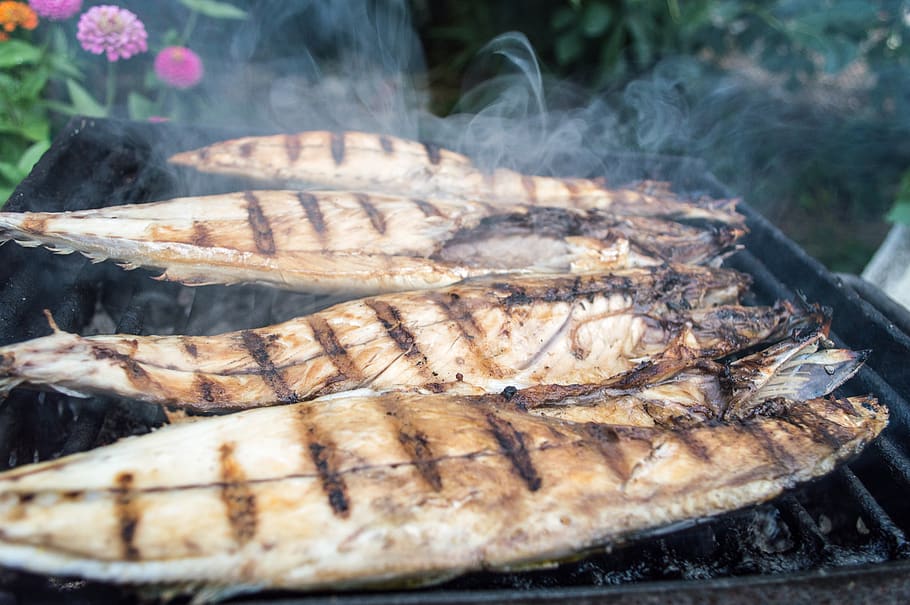 grilled fish, food, barbecue, heat - temperature, food and drink HD wallpaper