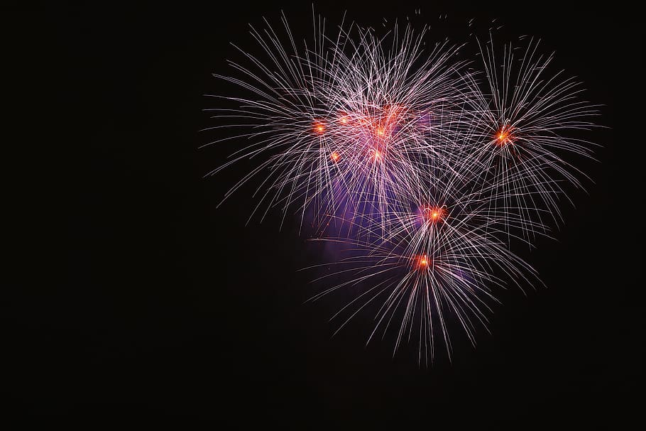 fireworks display, purple, night, hanabi, tokyo, japan, celebration HD wallpaper