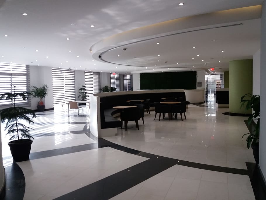 reception, office, workplace, interior, furniture, indoors HD wallpaper