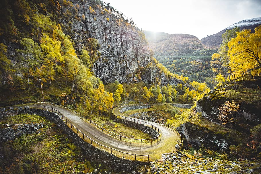archictetural photography road, tree, mountain, forest, woodland HD wallpaper