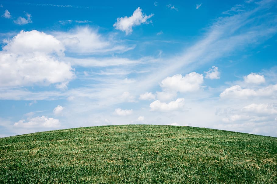 Green Grass Field Under White Clouds, blue sky, earth, grassland HD wallpaper