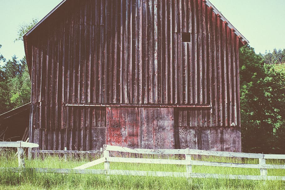 brown barn hose, built structure, plant, architecture, building exterior HD wallpaper