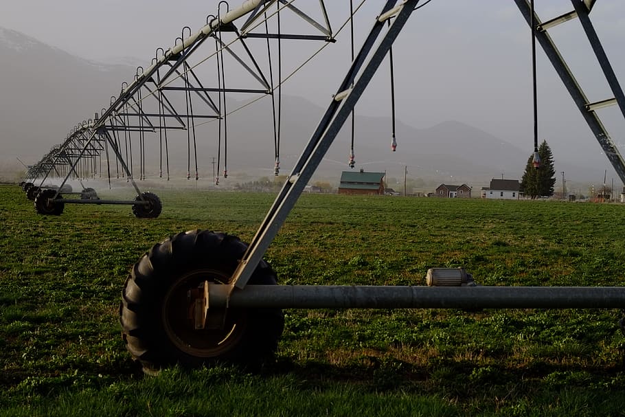 agriculture, farm, grass, field, land, plant, day, nature, metal HD wallpaper