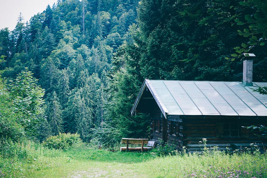 germany, bad wildbad, waldgaststätte grünhütte, forest, gruen hutte, HD wallpaper