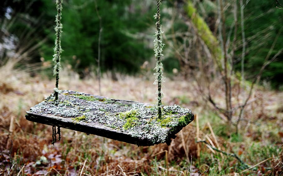 Brown Wooden Swing, colors, daylight, environment, grass, growth HD wallpaper