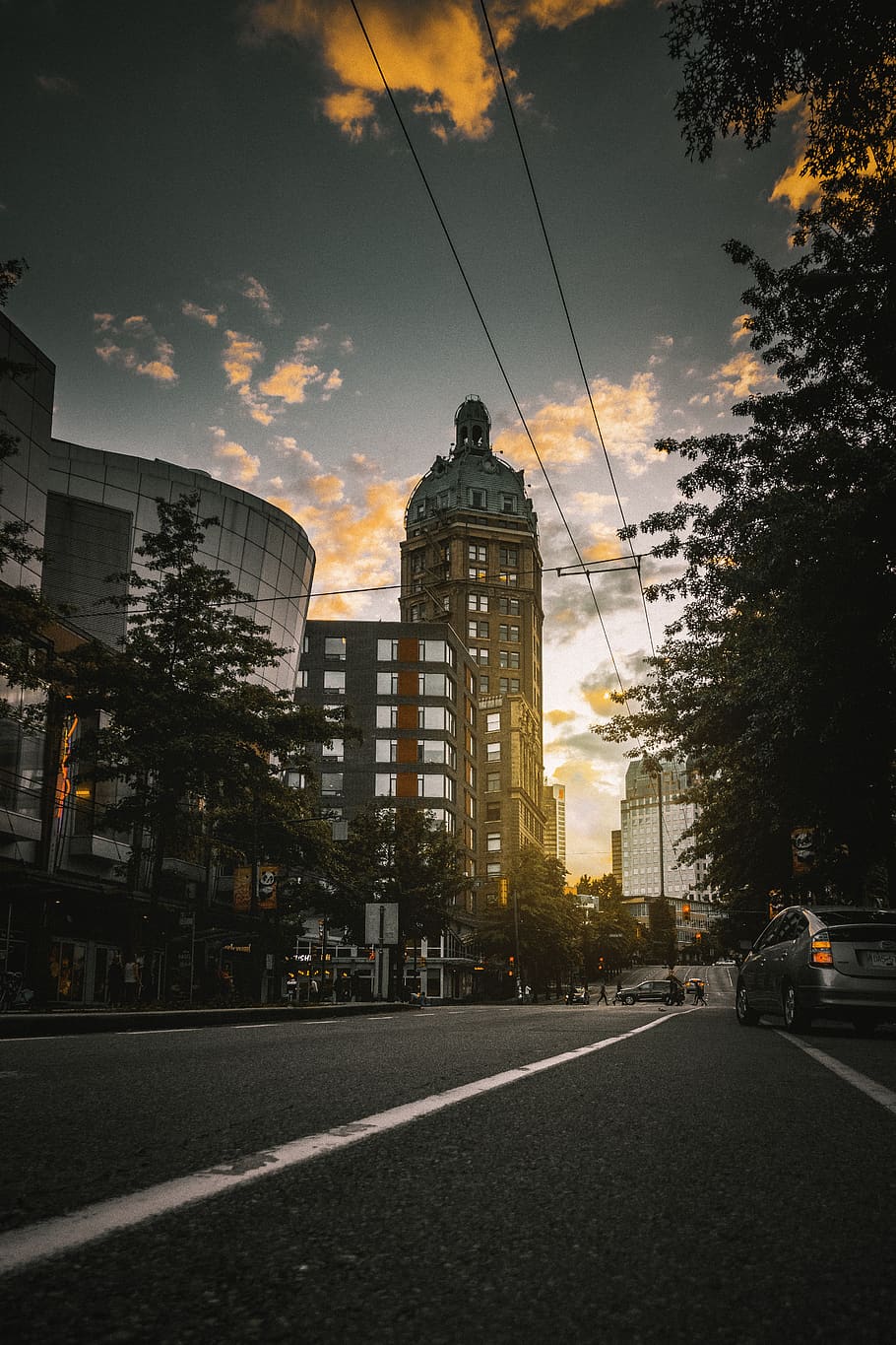 vancouver, canada, sunset, trees, road, city, downtown, buildings