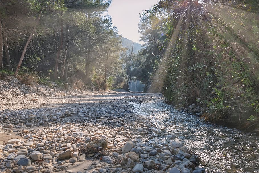 river bed, sun rays, spain, rio chiller, sky, landscape, tree HD wallpaper