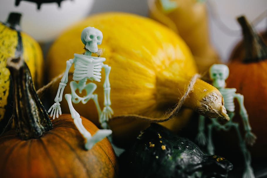 Pumpkins & Halloween, vegetables, autumn, fall, funny, ghosts HD wallpaper