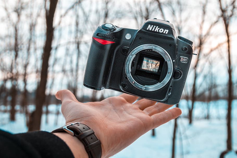 black Nikon DSLR camera, wristwatch, electronics, human, person HD wallpaper